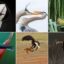 تصاویر برگزیده سال ۲۰۱۹ انجمن ملی زیست‌محیطی اودیبون