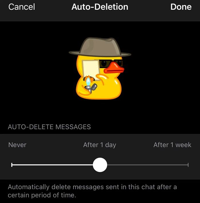 حذف خودکار پیام از تلگرام